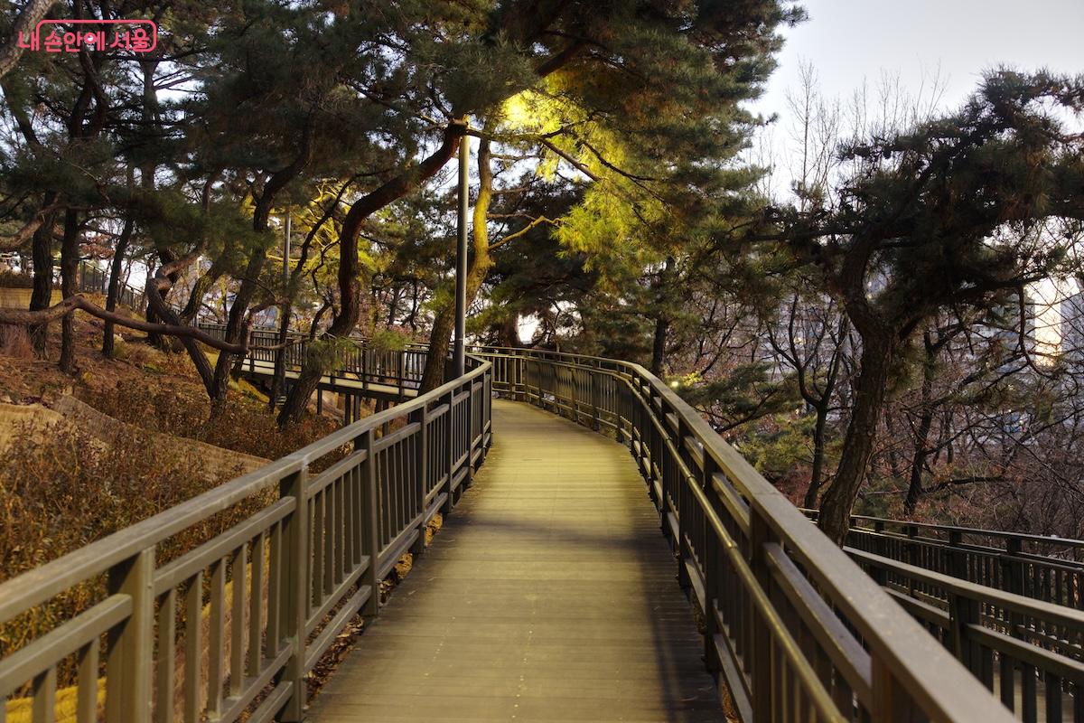 배봉산둘레길은 야간에도 쉽게 산책할 수 있도록 조명이 적절히 설치되어 있다. &copy;임중빈