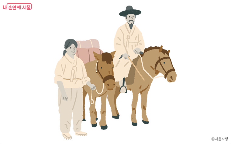 제주에서 올라와 서울을 누빈 말 이야기 