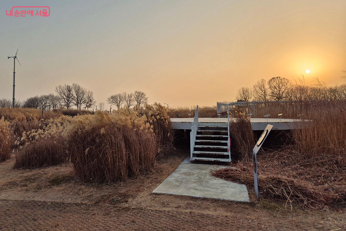 노을빛에 물든 겨울 억새와 정원박람회 수상작품들이 한 폭의 그림같이 어울린다.