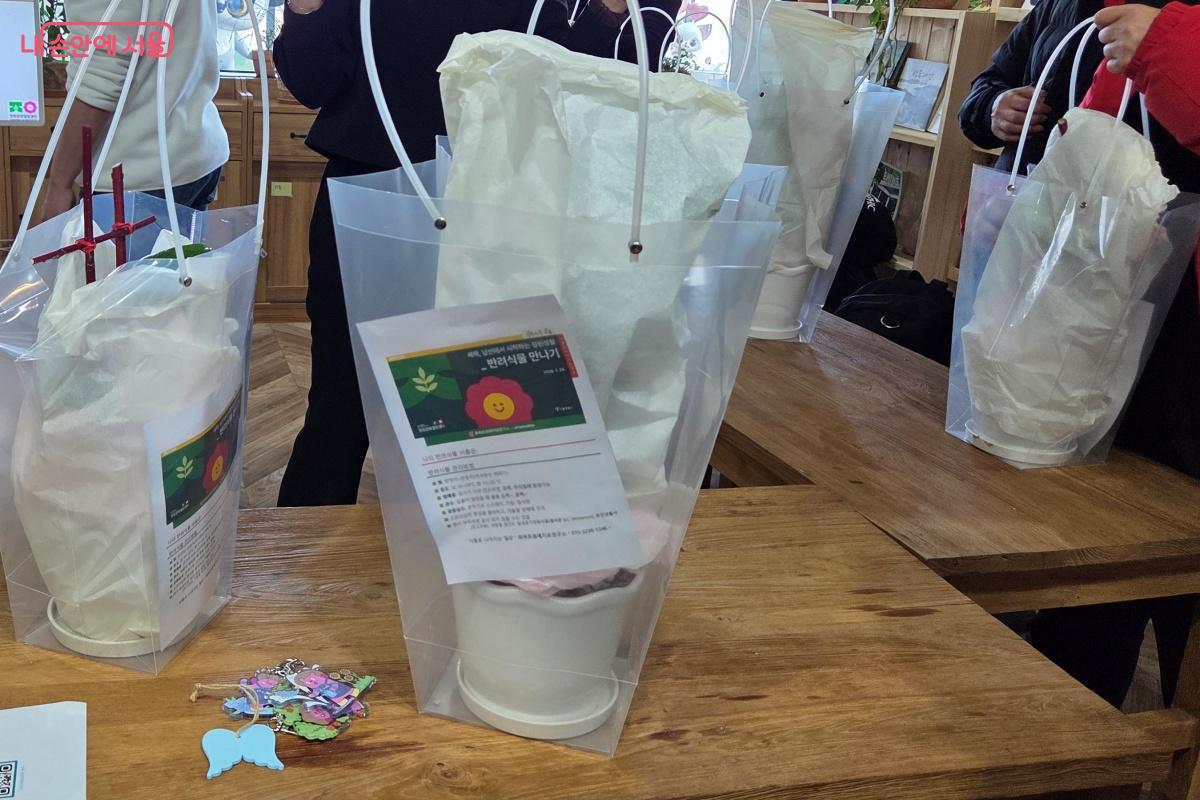 추워진 날씨에 식물을 보호하기 위해 얇은 종이로 감싸 포장했다. &copy;김미선