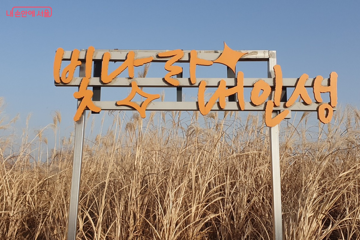 하늘공원 억새평원에 설치된 포토존 '빛나라 내인생' ©엄윤주