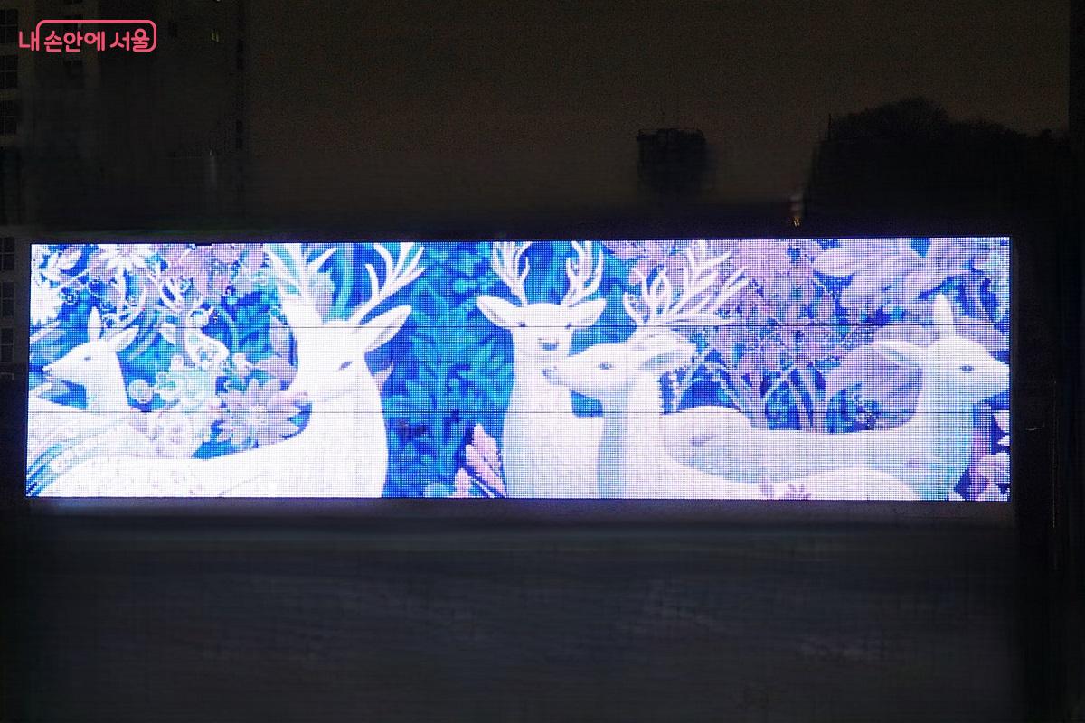 김유정 작가의 <Whispers of the Moonlight> &copy;조수봉 