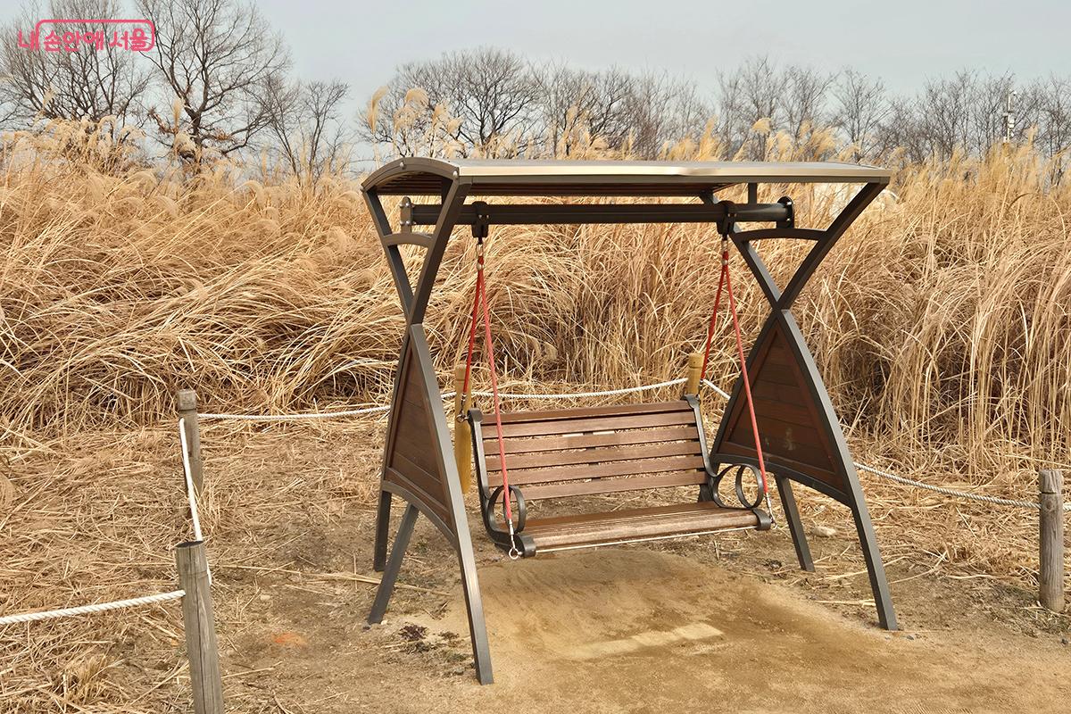 갈대 숲 사이에 숨어있는 흔들의자 쉼터