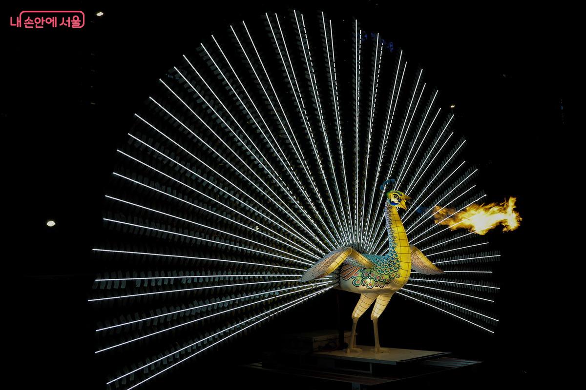 5m 높이의 공작새가 입에서 신기한 불을 뿜어내는 &lsquo;꿈의 날갯짓&rsquo; &copy;박성환