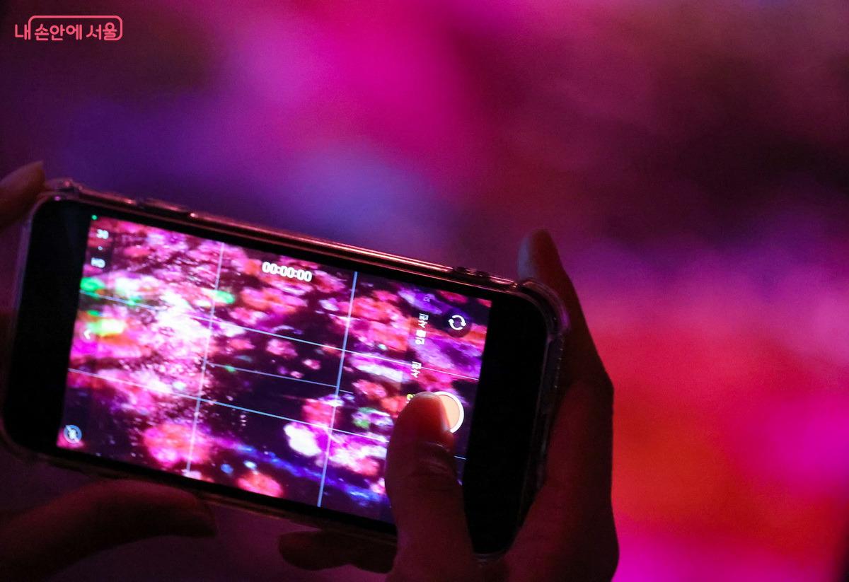 실감형 수면 미디어아트 &lsquo;청계천 광교 아래&rsquo; &copy;박성환