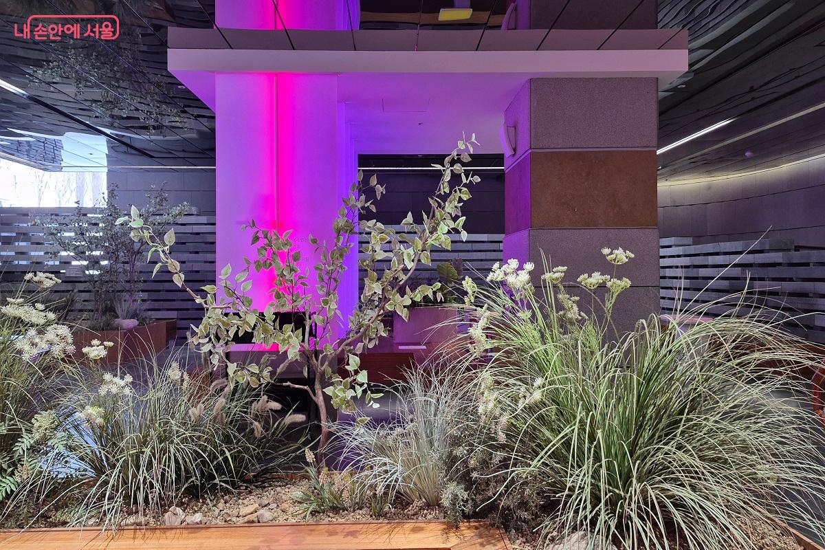 작은 공간이지만 조경도 잘꾸며져 있다. ©권수진