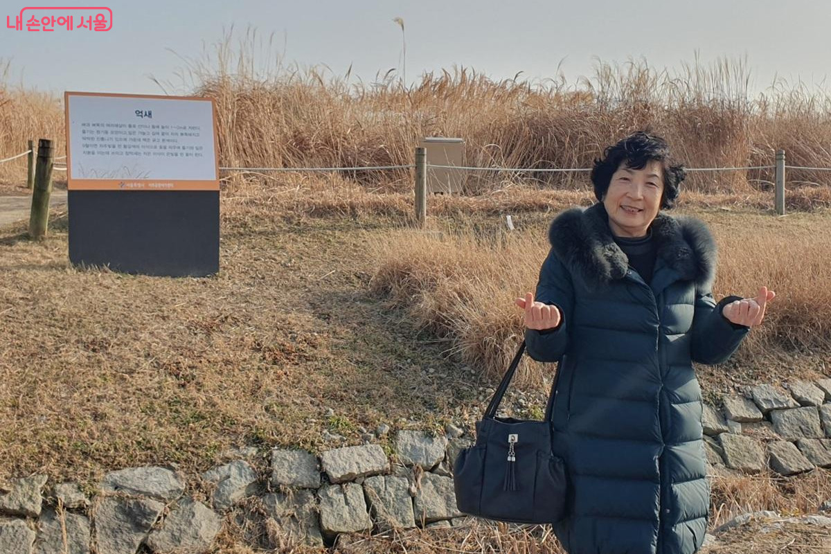 서울시 카톡뉴스를 확인 후 하늘공원 겨울 억새풍경을 찾은 원미자 어르신 &copy;엄윤주
