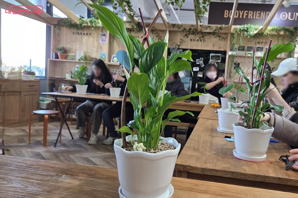 흰말채나무를 이용해 식물이 자라면서 기댈 수 있는 지지대를 만들어 주었다. &copy;김미선