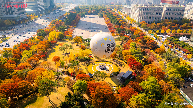 공원별 언급량 2위를 기록한 여의도공원