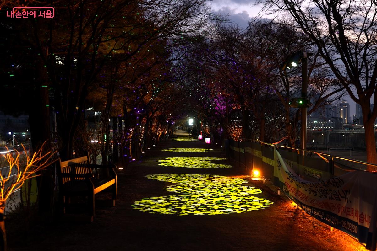 '빛의 산책로' 야간 경관 사업을 통해 걷고 싶은 길로 다시 태어난 고척교 제방길 &copy;임중빈