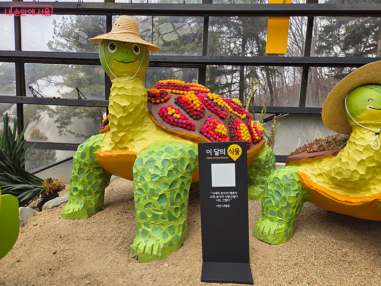 이달의 식물 코너

