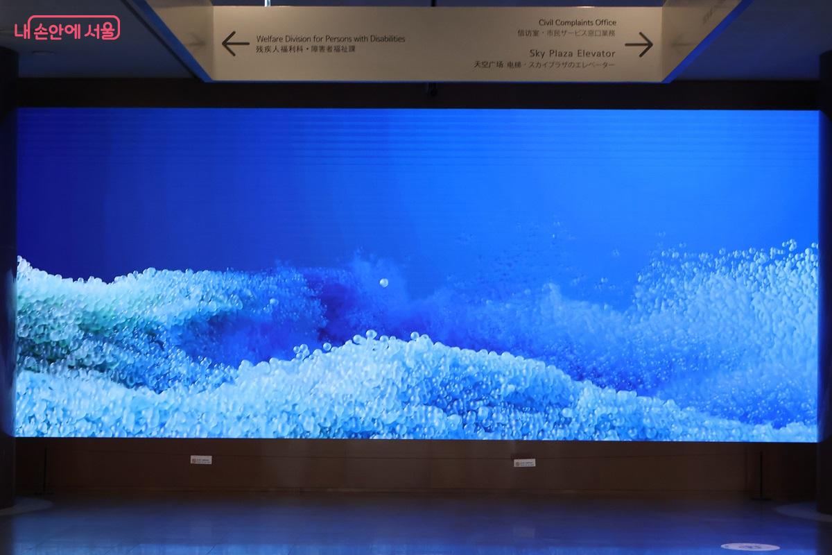 화려하고 몽환적인 분위기가 특별하다. 잠시 휴식의 시간을 선사한다. &copy;이봉덕 