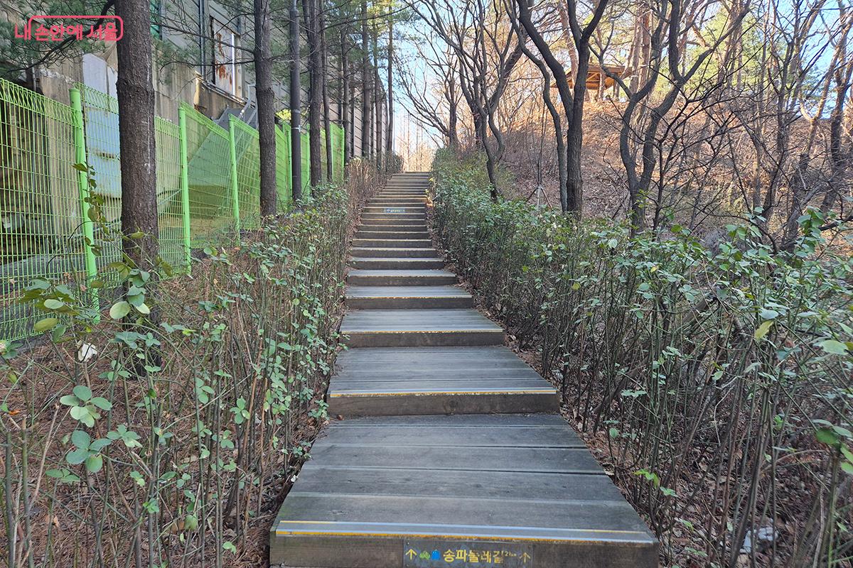 완만한 경사의 목재 데크길로 조성되어 있는 산책로 입구 ©정향선