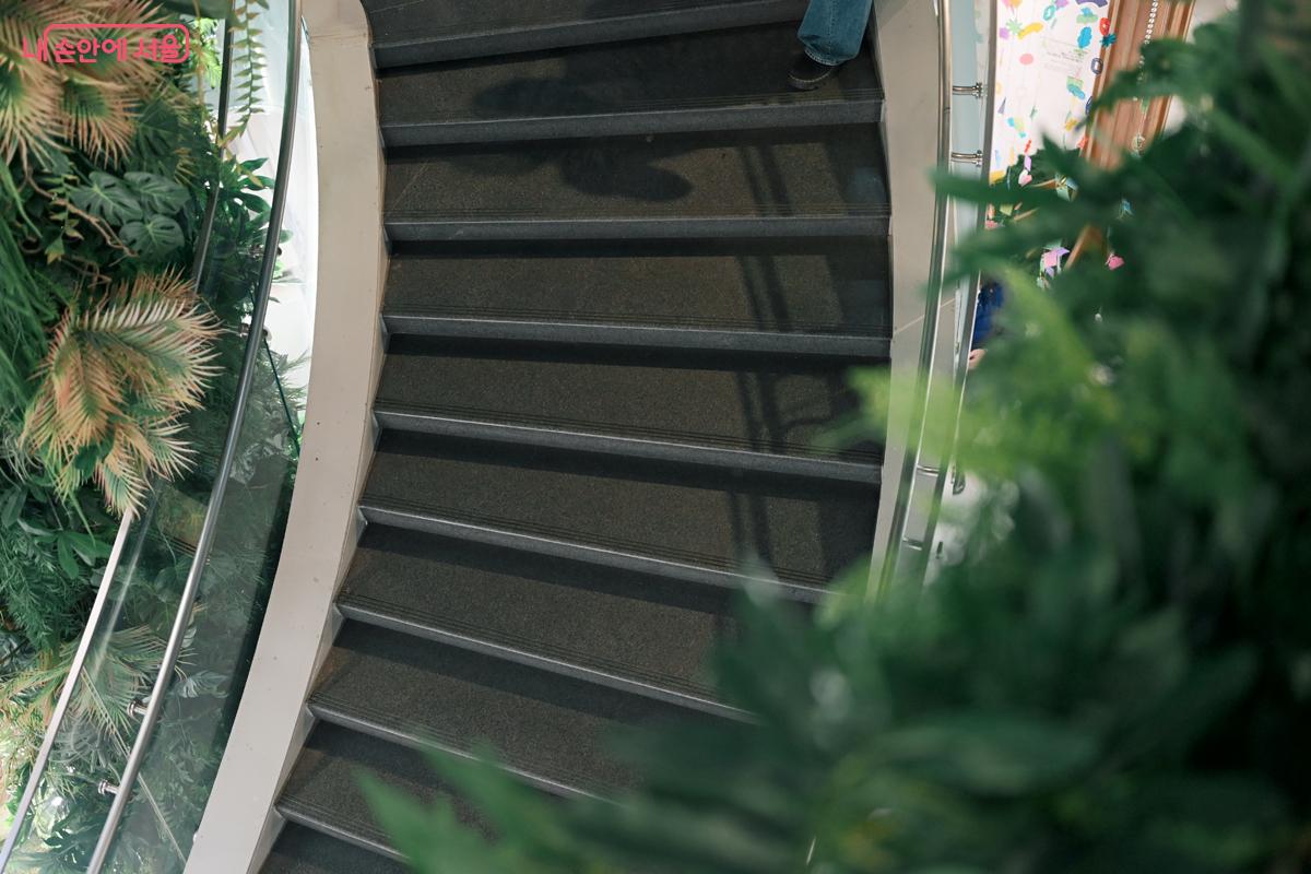 계단 양 옆을 녹색 식물이 에워싸고 있다.