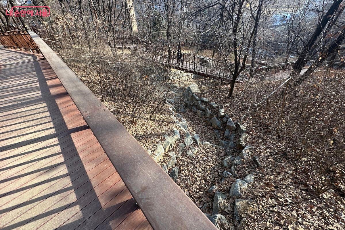 시냇물 위로 무장애숲길이 연결돼 있다.&copy;김재형