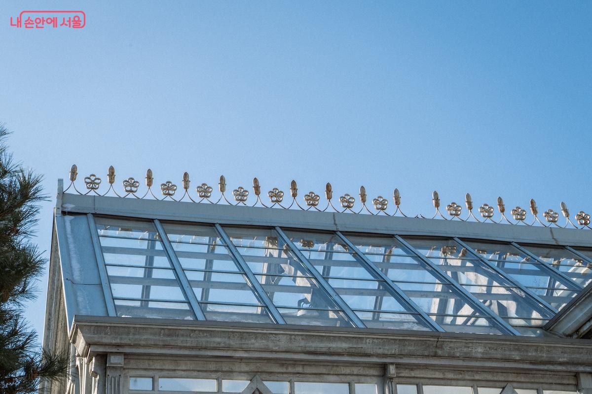목재와 철재는 건축물의 뼈대가 되고, 내부가 훤히 보이는 투명한 유리가 대온실을 감쌌다