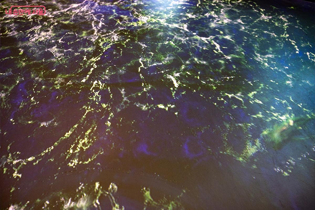 몰입형 영상으로 만나는 변화ⓒ장신자