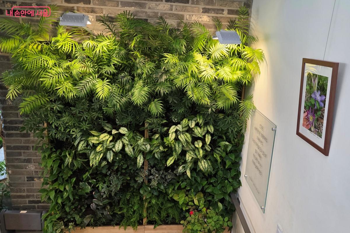 수직형 정원에서도 싱싱한 식물을 마주한다. &copy;김미선
