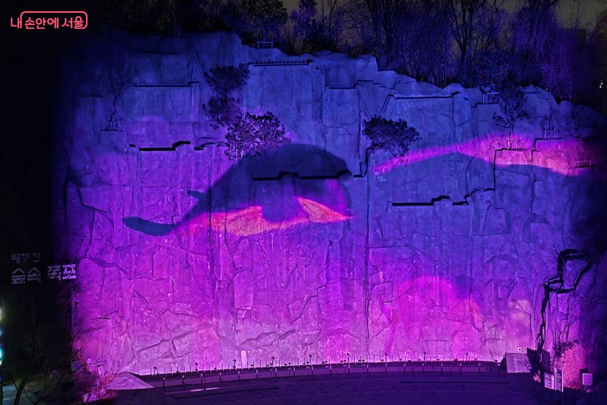 고래가 실제 헤엄치는 듯한 미디어파사드 화면 &copy;조현정