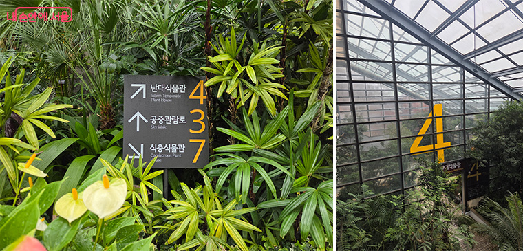 숫자형 안내체계 구축
