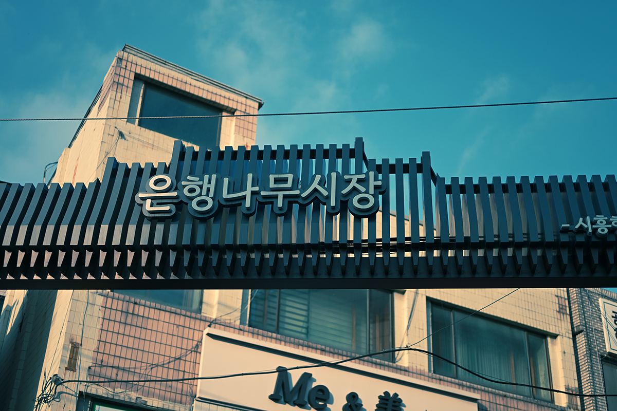 금천구 은행나무시장. 서울시 62개 전통시장에서 '2026 설 명절 특별 이벤트'를 진행한다. &copy;한솔