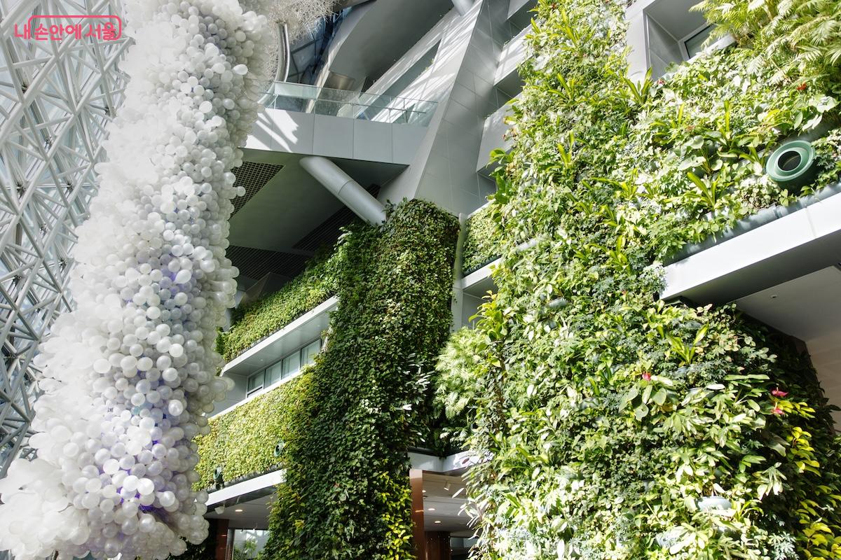 서울갤러리 취재를 위해 방문한 서울시청에서 놀라운 수직정원에 압도되었다