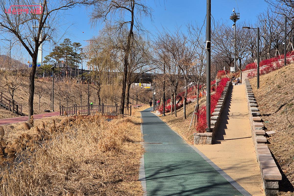 하천과 인도를 잇는 계단도 돌과 나무로 깔끔하고 보기 좋게 정돈되었다. ©정향선