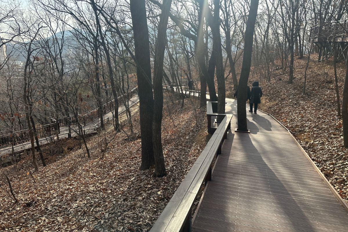 도심 속에서 만난 &lsquo;쉼 공간&rsquo; 도구머리근린공원과 사당쉼터를 가다