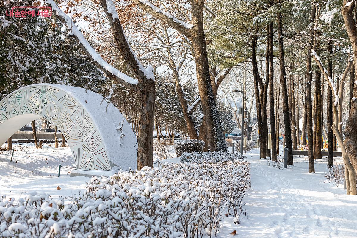 숲속 동화나라의 고요한 풍경 ⓒ문청야 