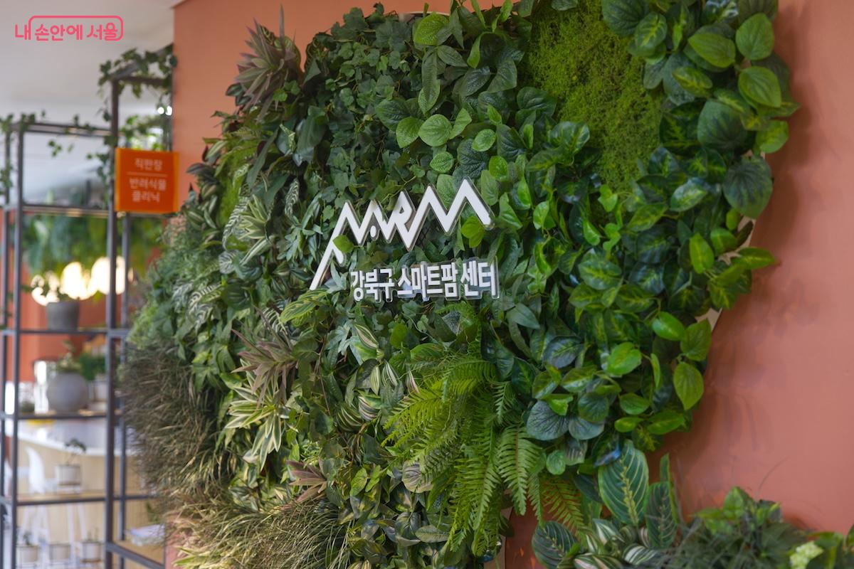 강북구 번동에 있는 강북구 스마트팜 센터를 방문했다