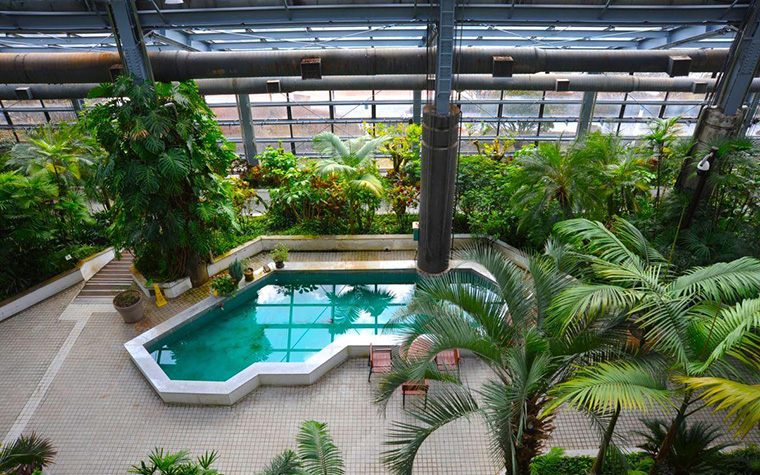 봄기운 살랑~ '서울대공원 식물원' 나 홀로 떠나도 괜찮아!