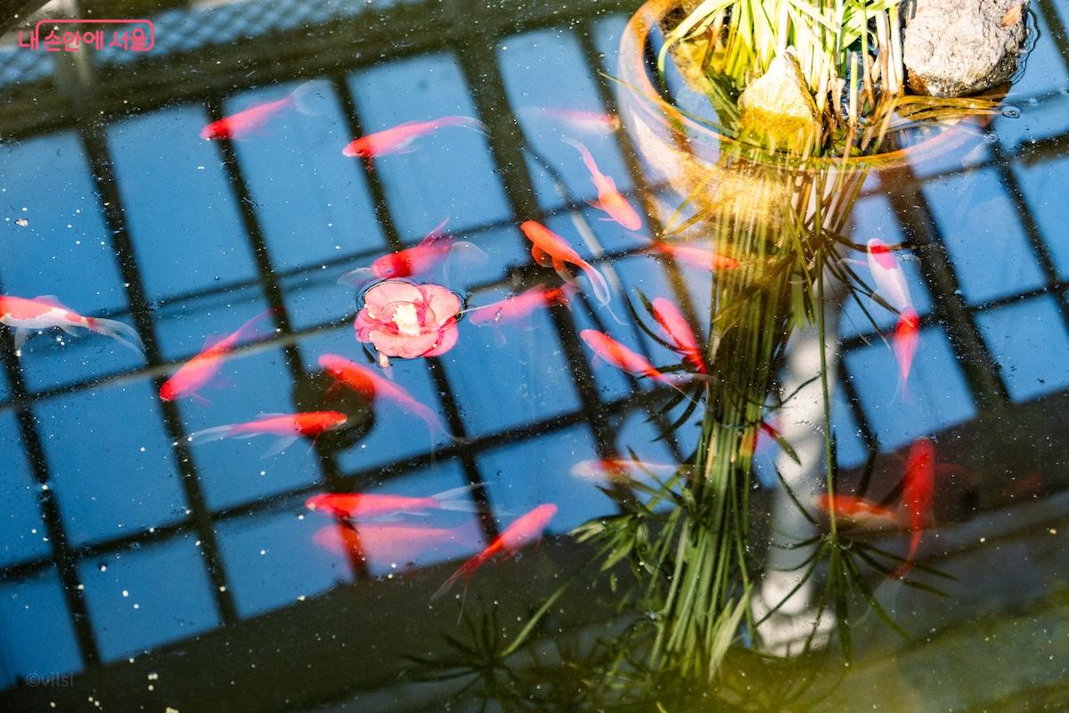 대온실 내부는 채광이 좋아 간직한 색을 가장 선명하게 보여준다