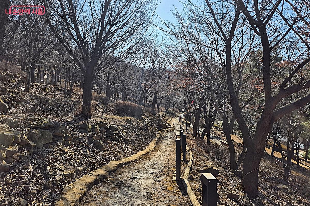 흙으로 이루어진 평탄하고 쉬운 길이 길게 이어져 있다. &copy;마가은