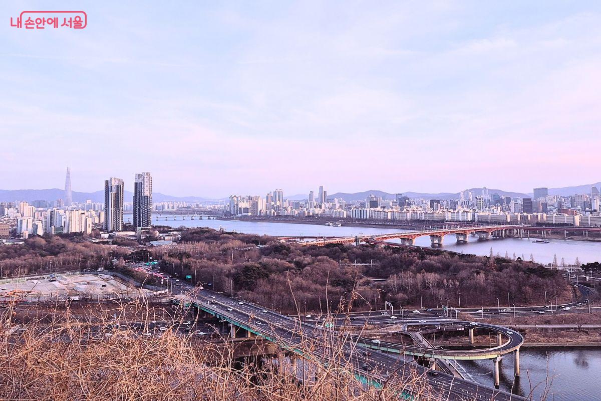 응봉산 정상에서 내려다본 한강, 중량천과 서울숲 일대 전경