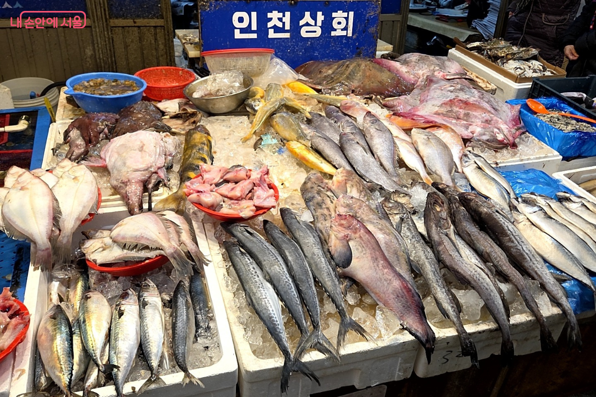 청량리 전통시장 생선가게에 진열된 신선한 생선들 &copy;김승아