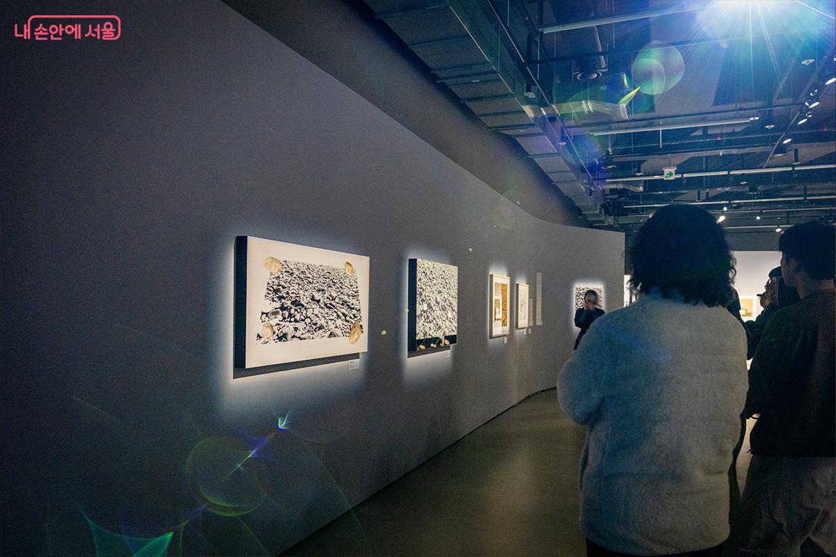 낮은 조도 속 작품을 감상하는 관람객 &copy;장신자
