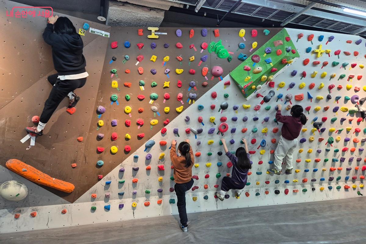어른과 아이 체험자들이 벽에 매달려 홀드를 잡으며 자세 잡는 연습을 하고 있다. &copy;마가은