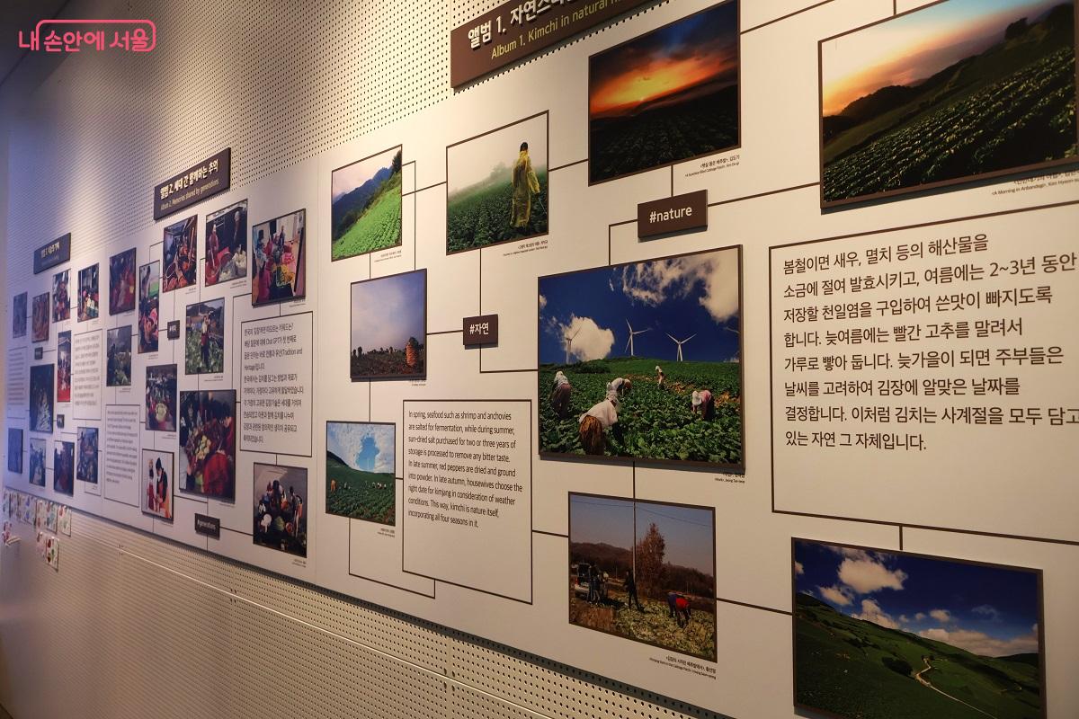 유네스코 무형문화유산 제공 자료를 전시하는 '30컷 앨범, 사진 속 김치 이야기'전 &copy;이봉덕