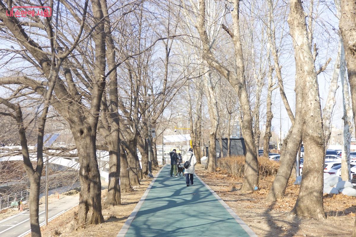 여의천 소원카페 오픈과 함께 여의천 수변 환경이 획기적으로 개선되고 있다