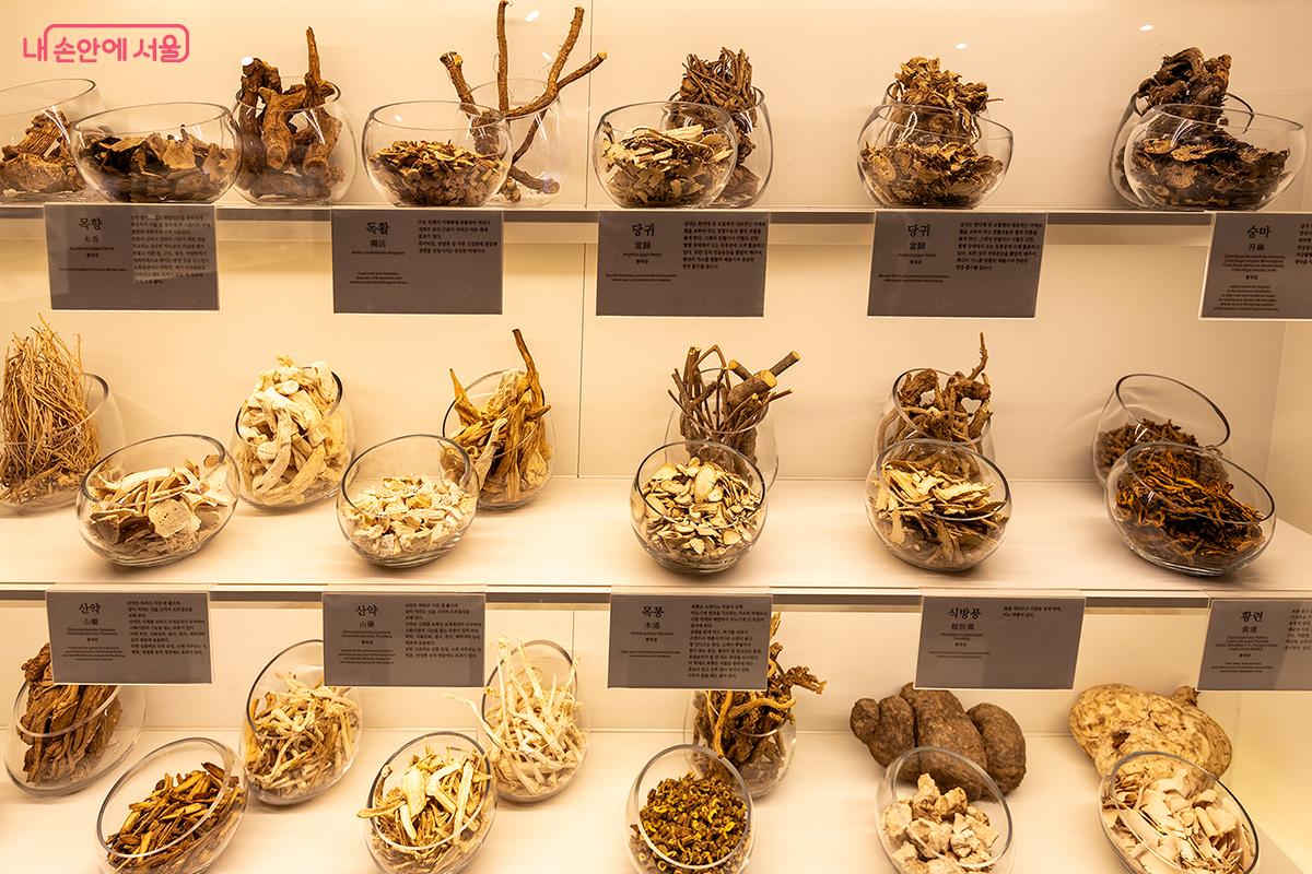 목향, 독활, 당귀,승마, 산약 등 한의약 재료들 &copy;문청야