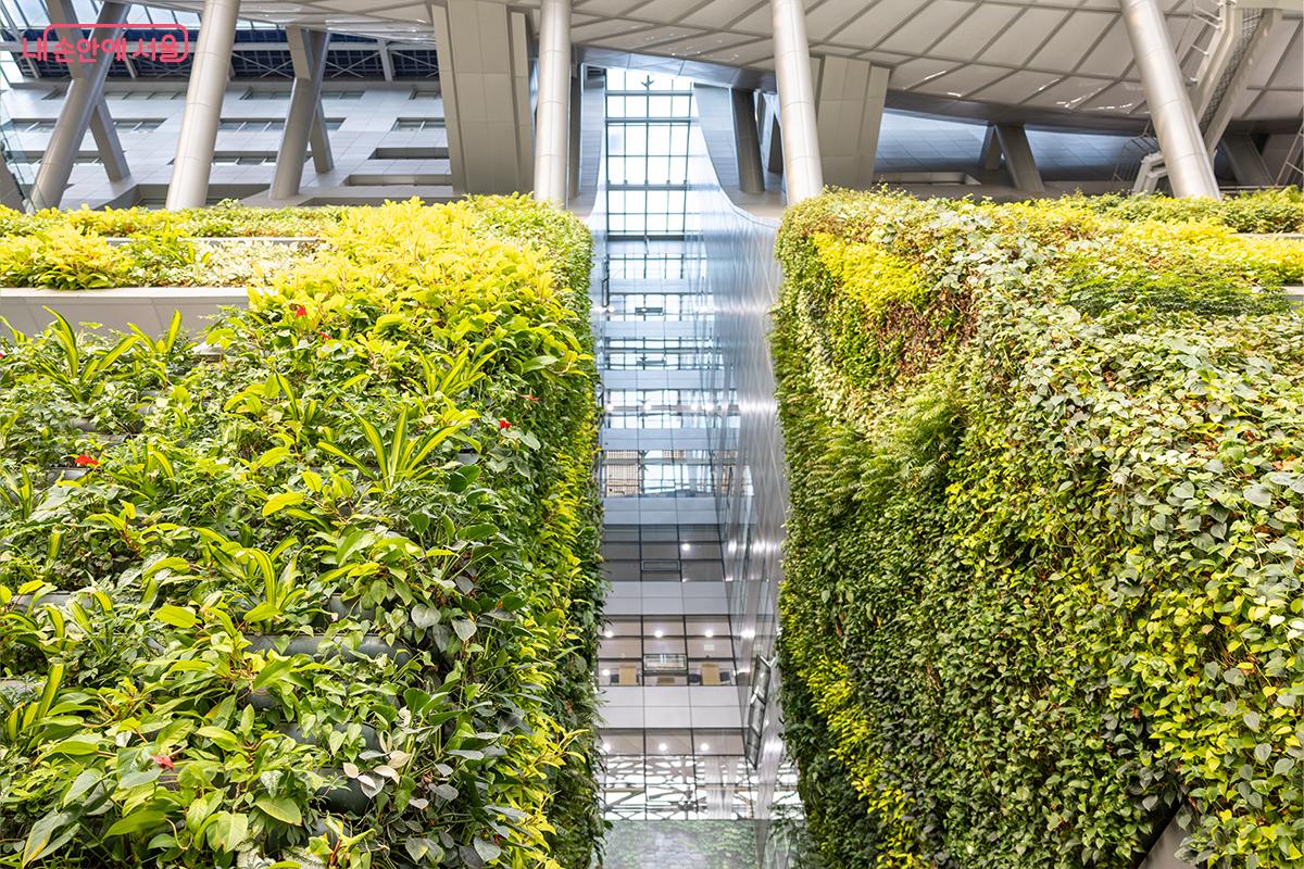 서울시청  공간에 조성된 도심 속 실내 정원 풍경ⓒ장신자