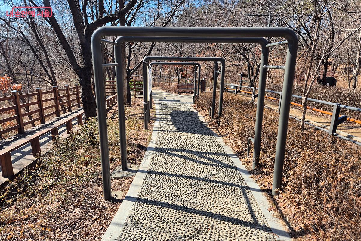지압길을 걷는 것만으로도 혈액순환 개선, 불면증 완화, 노폐물 분해 등의 효과가 있다고 한다. &copy;정향선