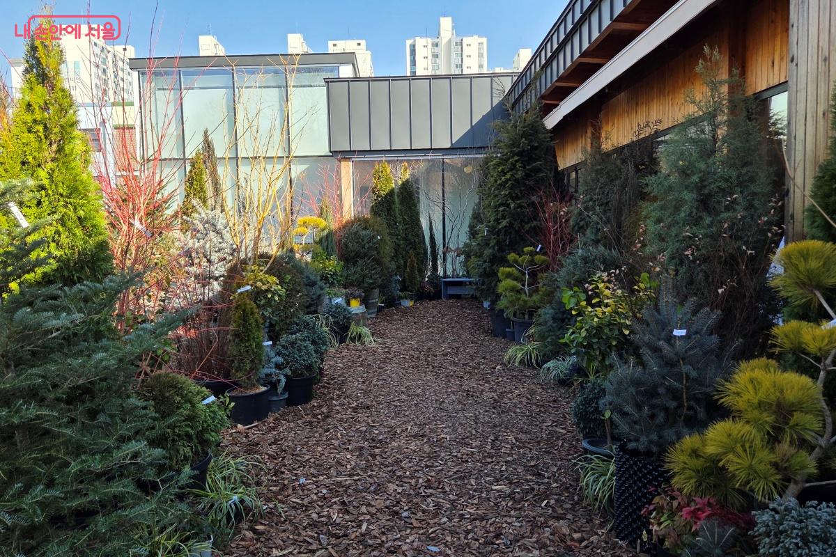 '상록의 정원'에서 사계절 동안 변치 않는 식물의 힘을 마주한다. &copy;김미선