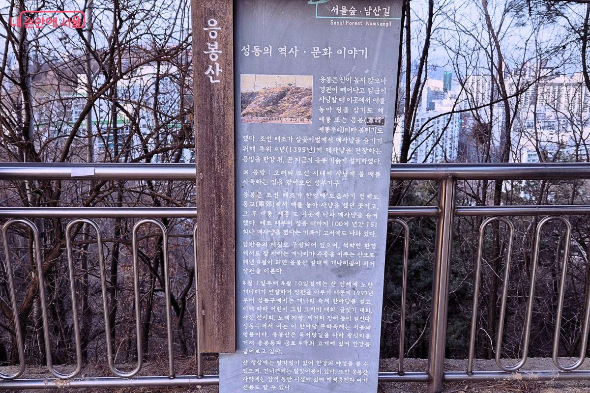 응봉산 역사 안내판과 한강·도심이 보이는 정상 난간 풍경