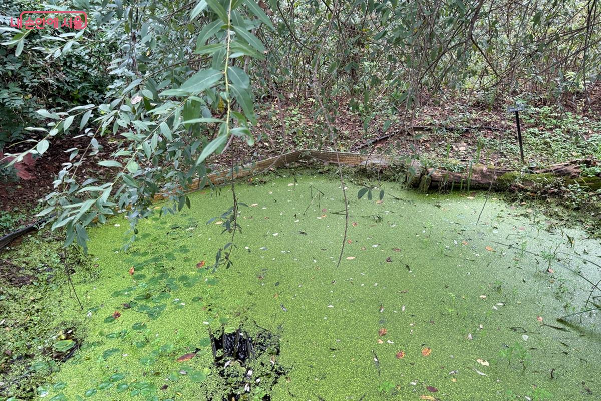 작지만 알찬 생태연못 전경 &copy;임윤아