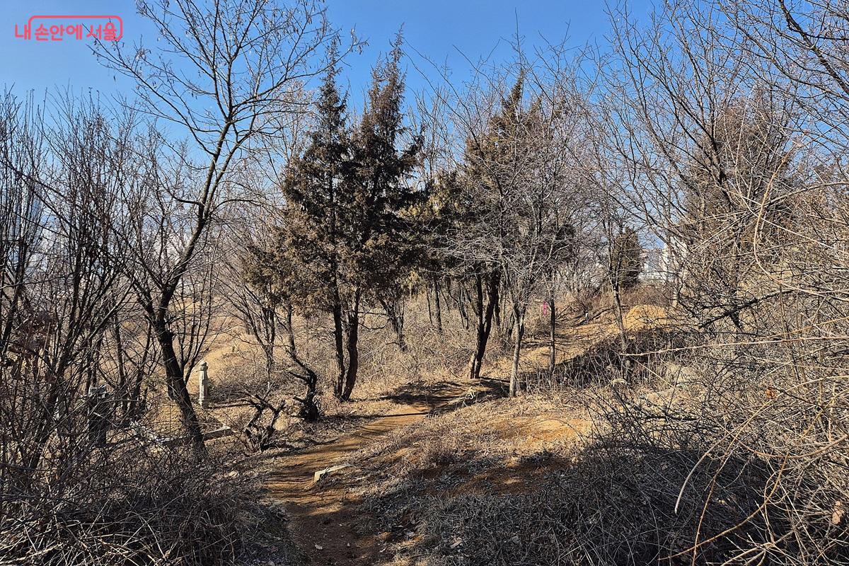 공동 묘지로 사용되었던 망우산에는 여전히 많은 묘소들이 남겨져 있어서 망우산 만의 특별한 풍경을 가지고 있다. &copy;마가은