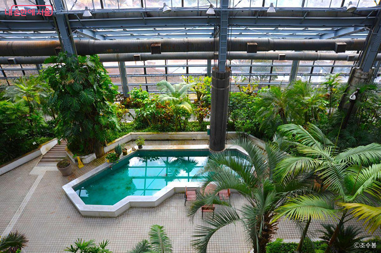 서울대공원 식물원 온실