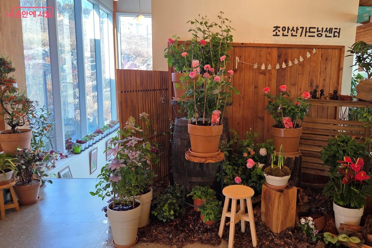 정원 팝업을 통해 사계절 정원, 상록의 정원, 1평 정원 등 다양한 정원을 만났다. &copy;김미선