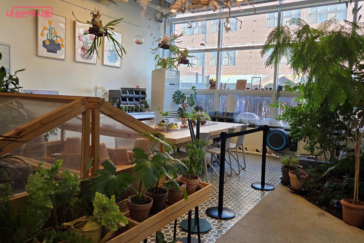 소규모 가드닝 수업 공간이자 정원사의 작업공간인 '정원사의 작업실' &copy;김미선