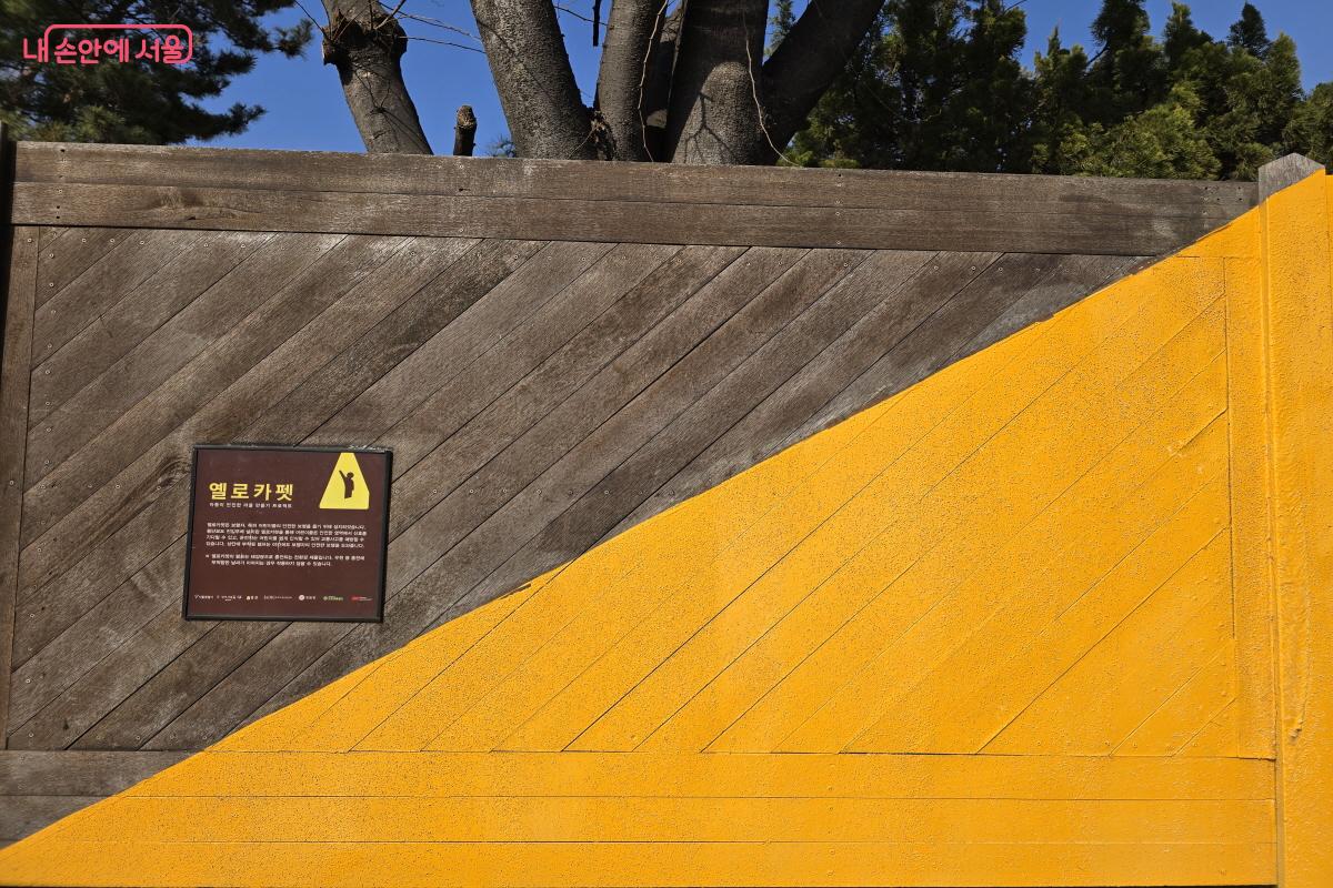 옐로우 카펫은 어린이와 운전자 모두 보호한다. ⓒ심재혁